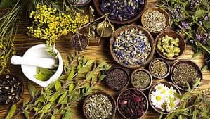 پشت پرده بازار داروهای گیاهی