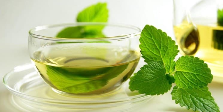 طب سنتی ؛ مصرف به موقع عرق نعناع و تاثیر آن بر سامت دستگاه گوارش
