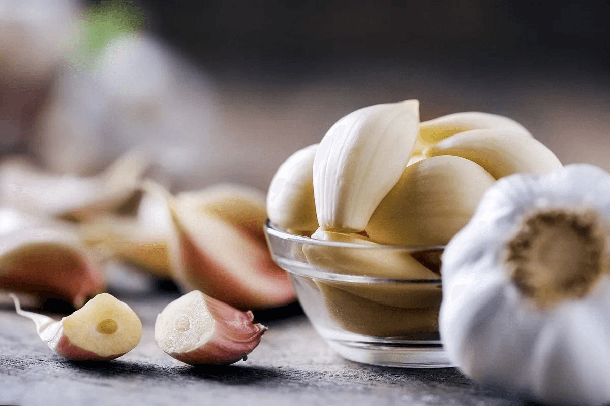 خواص سیر برای بدن ؛ سیر چه فوایدی دارد و چه کسانی نباید مصرف کنند ؟