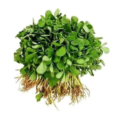 راهکار پرپشت شدن موها از نگاه طب سنتی