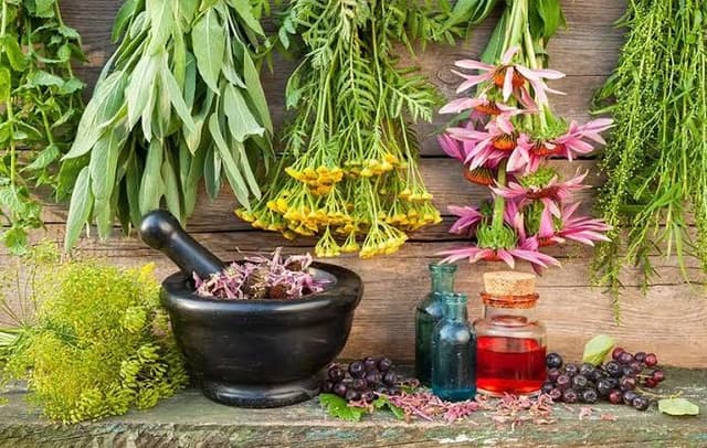 پشت پرده بازار دارو های گیاهی