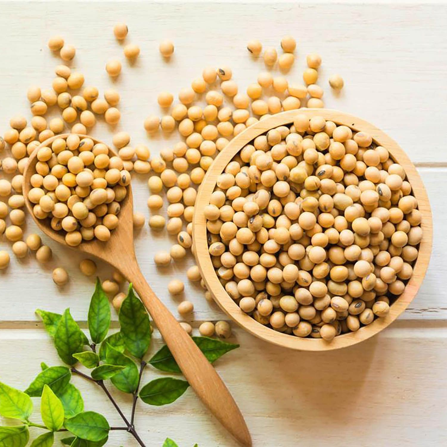 احتیاط هایی درباره مصرف سویا