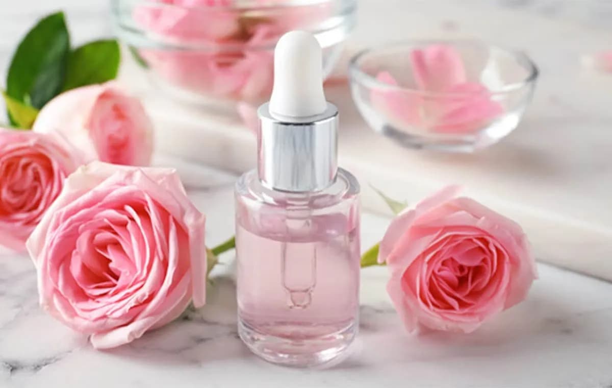 گلاب: عصاره‌ای برای زیبایی و سلامت