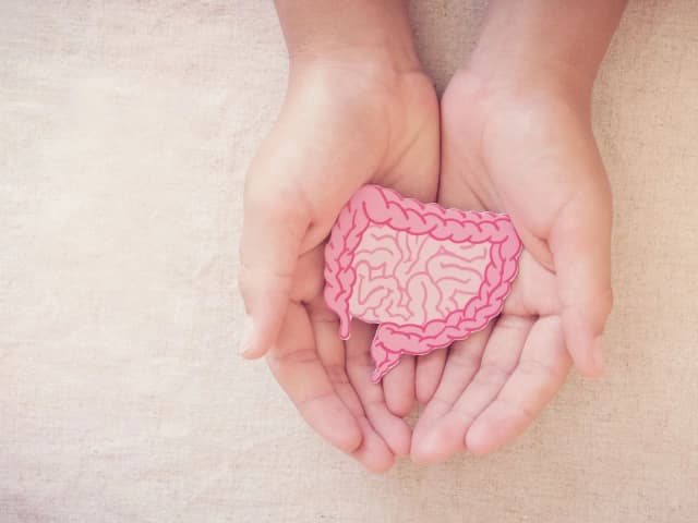 بهترین گیاه دارویی برای سلامت روده