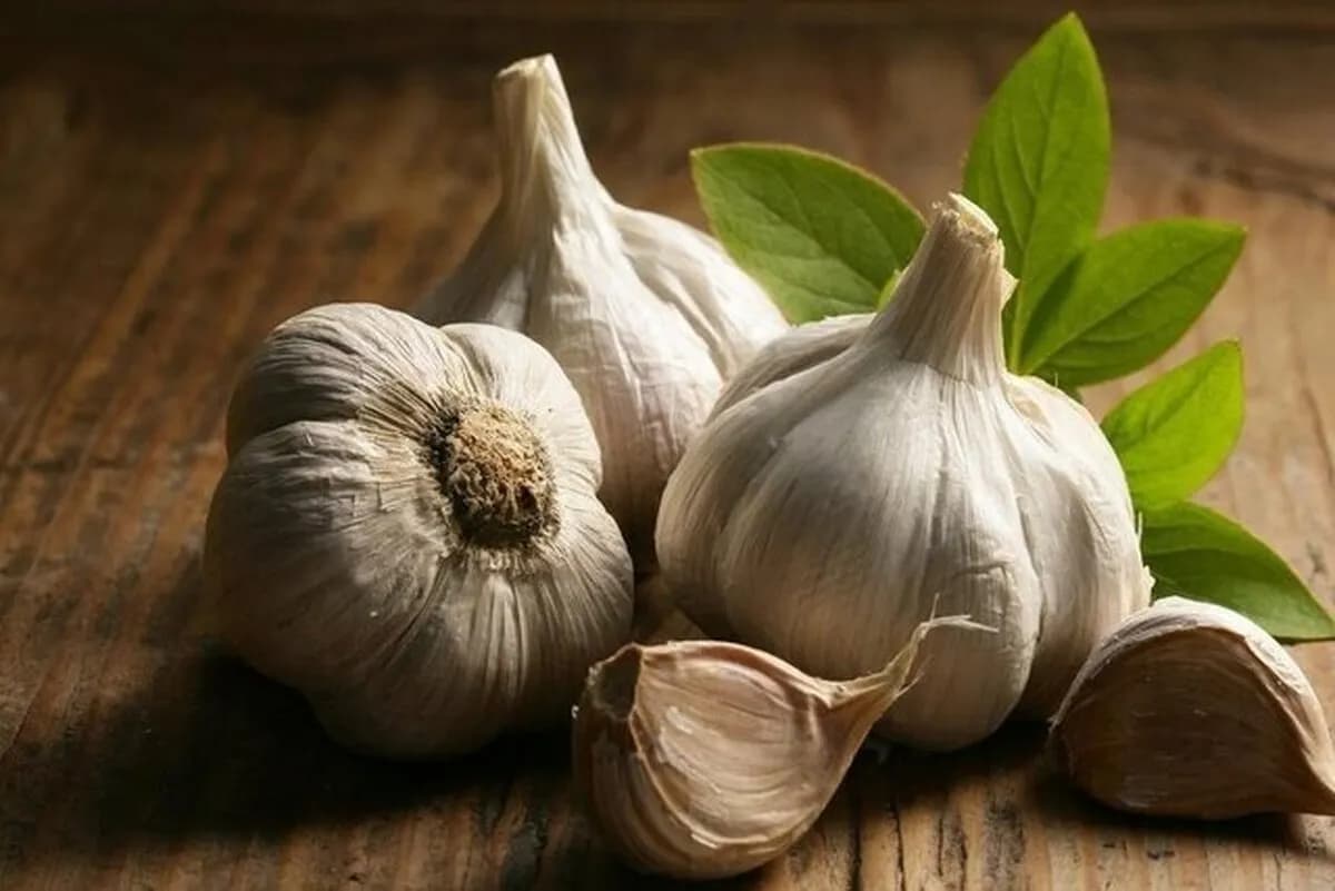 سیر؛ معجزه‌گر خاموش در آشپزخانه!