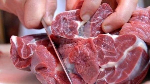 ۶۰ درصد بیماری‌های عفونی منشا حیوانی دارند؛ حواستان به اصول بهداشتی باشد