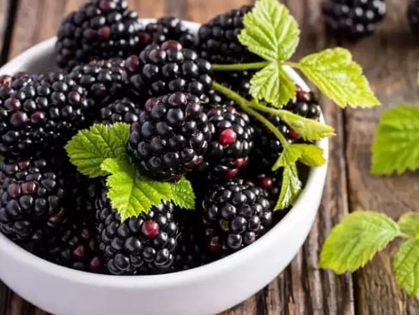 فواید شگفت انگیز این 8 خوراکی سیاه تابستانی که از آن بی خبرید