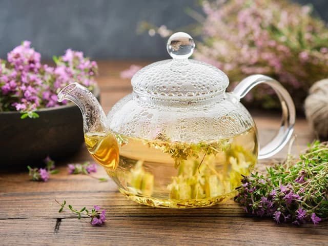 نجات ریه‌ها در هوای آلوده؛ نسخه‌های طب ایرانی برای مقابله با آلودگی