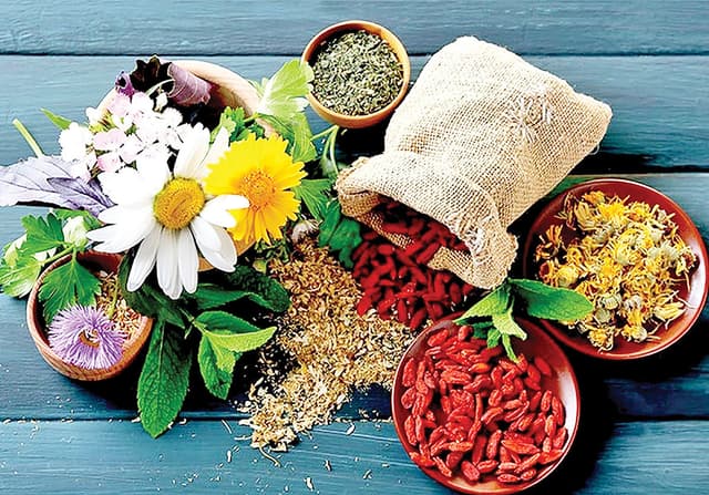 گیاهان دارویی، دشمن طبیعی چربی خون بالا
