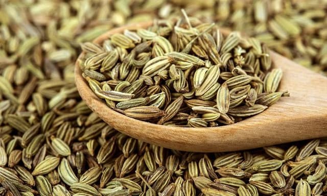 رازیانه؛ گیاه شیر افزا