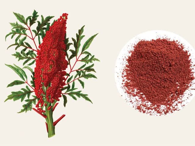خواص درمانی و فواید سماق در طب سنتی