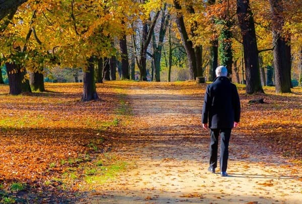 فواید قدم گذاشتن در فضای سرسبز برای ذهن /آنچه طبیعت بازیابی می‌کند