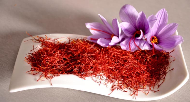 رییس پژوهشگاه سازمان غذا و دارو: رنگ زعفران، سرطان‌زاست/از دستفروش‌ها خوراکی نخرید