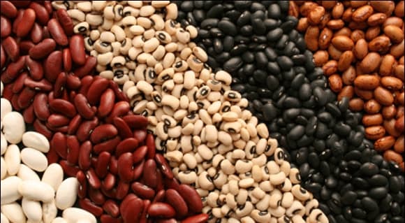 ۱۰ غذای گیاهی حاوی کلسیم