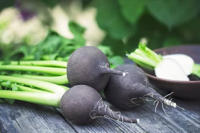 خواص مصرف ترب سیاه که باورتان نمی شود/ روش استفاده از آن برای دفع سنگ کلیه