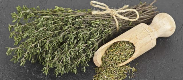 آویشن شیرازی؛ گیاهی سنتی که در پژوهش‌های جدید مورد توجه قرار گرفت