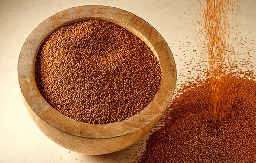 خاکشیر؛ گیاهی سنتی که هنوز در پژوهش‌های سلامت مورد توجه است