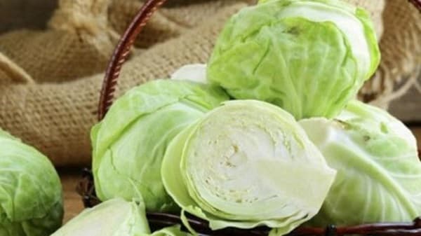 گیاهی که ضد کم خونی، ضد سردرد، ضد پیری پوست، ضد فشار خون و تقویت کننده حافظه است