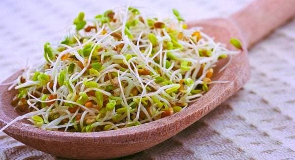 رونمایی از سرم طبیعی جوانه گندم؛ انقلابی در صنعت زیبایی ایران