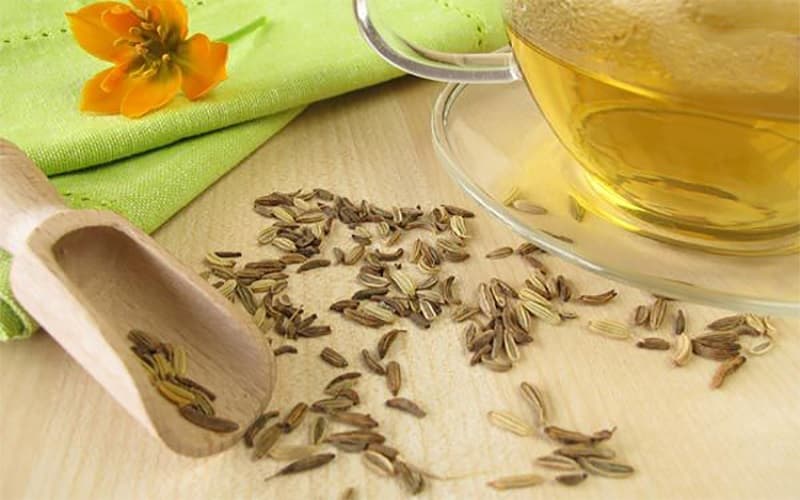 رازیانه؛ گیاهی معطر با جایگاه ویژه در طب سنتی
