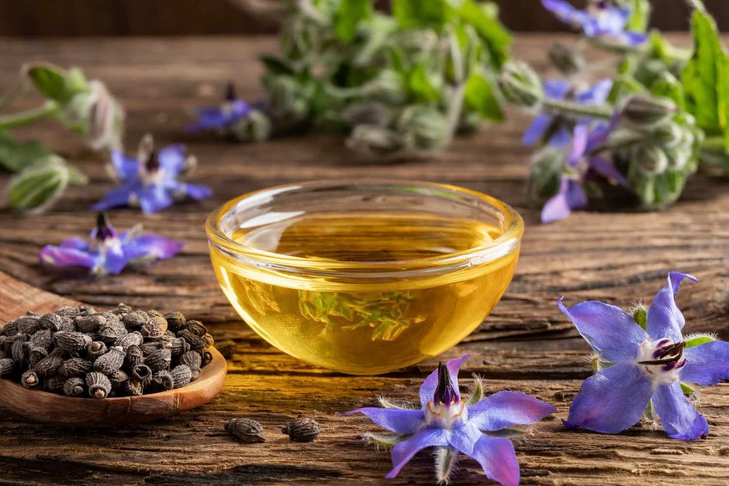 گل گاوزبان؛ گیاهی پرکاربرد در طب سنتی برای آرامش و کاهش تنش