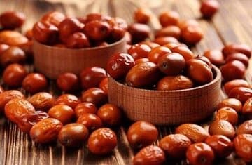 سنجد؛ گیاهی سنتی با کاربردهای متنوع در طب ایرانی