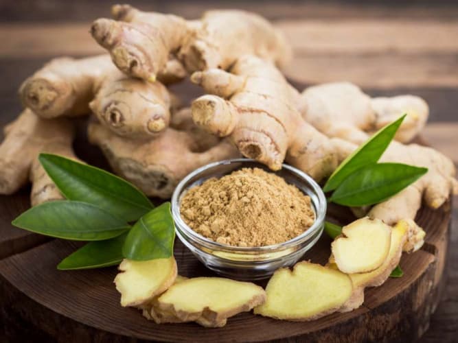 زنجبیل؛ گیاهی سنتی که پژوهش‌های جدید همچنان فواید آن را بررسی می‌کنند