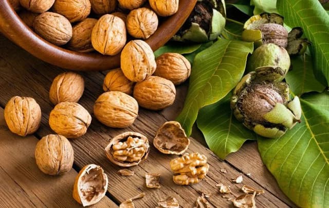 گردو؛ یک خوراکی ساده برای تقویت سلامت قلب