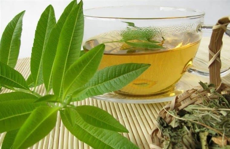 به‌لیمو؛ گیاهی معطر که در طب سنتی برای آرامش و گوارش استفاده می‌شود