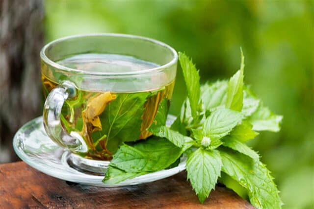 بادرنجبویه؛ گیاهی معطر با سابقه طولانی در طب سنتی