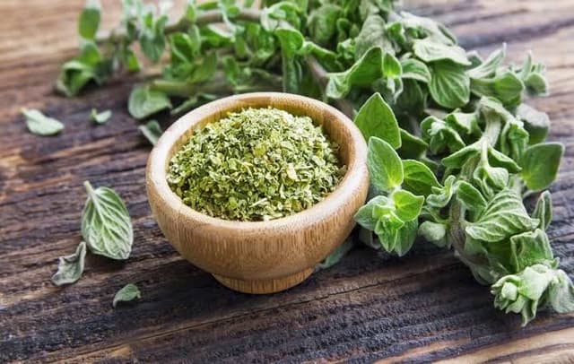 پونه کوهی؛ راه حل طبیعی برای درمان اختلالات گوارشی