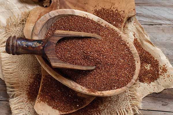 اثر فوق العاده خاکشیر بر کبد و یبوست