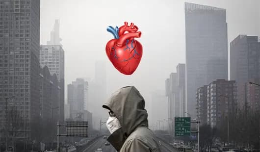 آلودگی هوا چگونه به قلب آسیب می‌زند؟