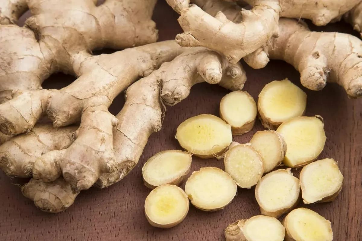 زنجبیل، گیاهی موثر برای کاهش تهوع و التهاب