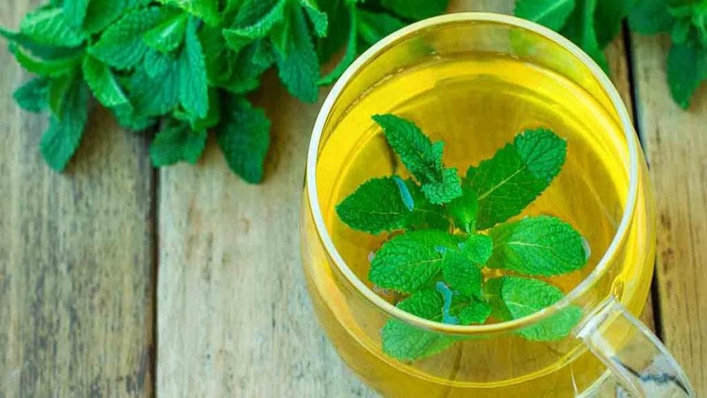 نعناع فلفلی و بررسی اثر آن بر علائم گوارشی