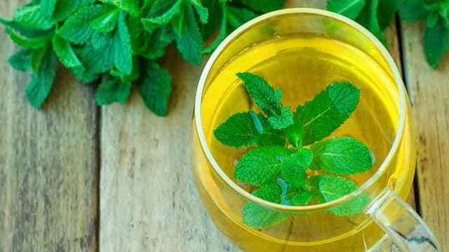 نعناع فلفلی و بررسی اثر آن بر علائم گوارشی
