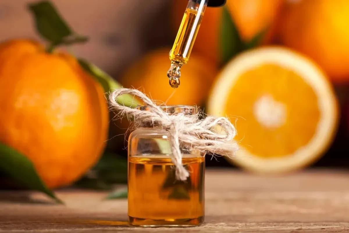 مرکبات، فراتر از ویتامین ث؛ پژوهش های تازه از نقش آن در تغییر فعالیت ژن ها و کاهش خطر افسردگی می گویند