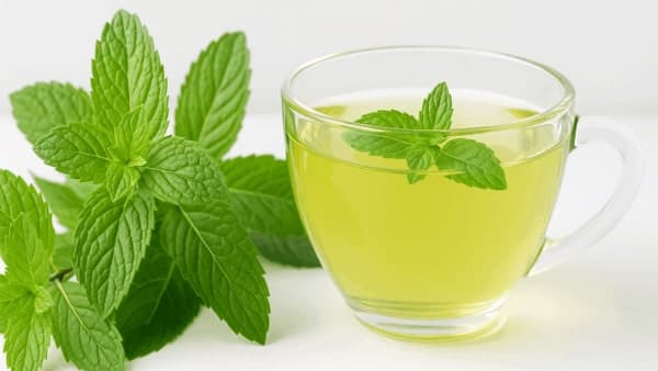 نعناع فلفلی؛ گیاهی دارویی برای تسکین مشکلات گوارشی