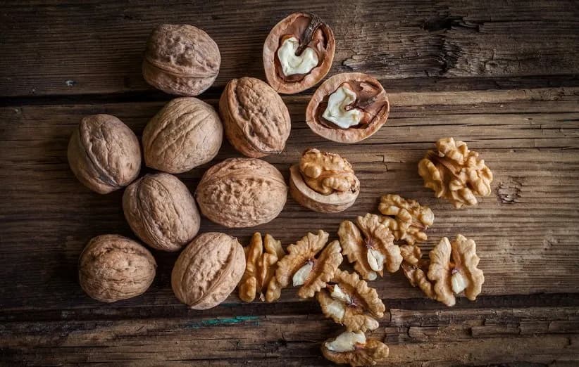 مصرف روزانه گردو ممکن است الگوی غذایی سالمندان را ضدالتهابی‌تر کند