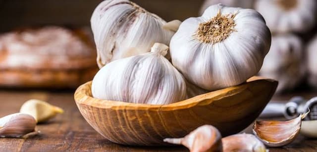 سیر در طب سنتی چه جایگاهی دارد؟ بررسی تأثیر احتمالی آن بر فشار خون و کلسترول