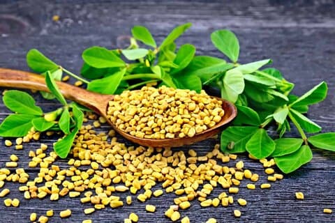بررسی علمی تأثیر داروهای گیاهی طب سنتی بر کنترل دیابت