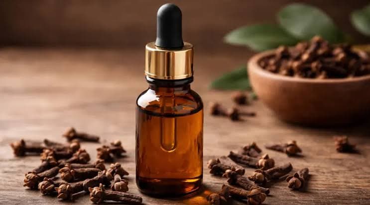 طب ایرانی و سلامت دهان؛ آیا جویدن میخک می‌تواند به کاهش دندان‌درد کمک کند؟