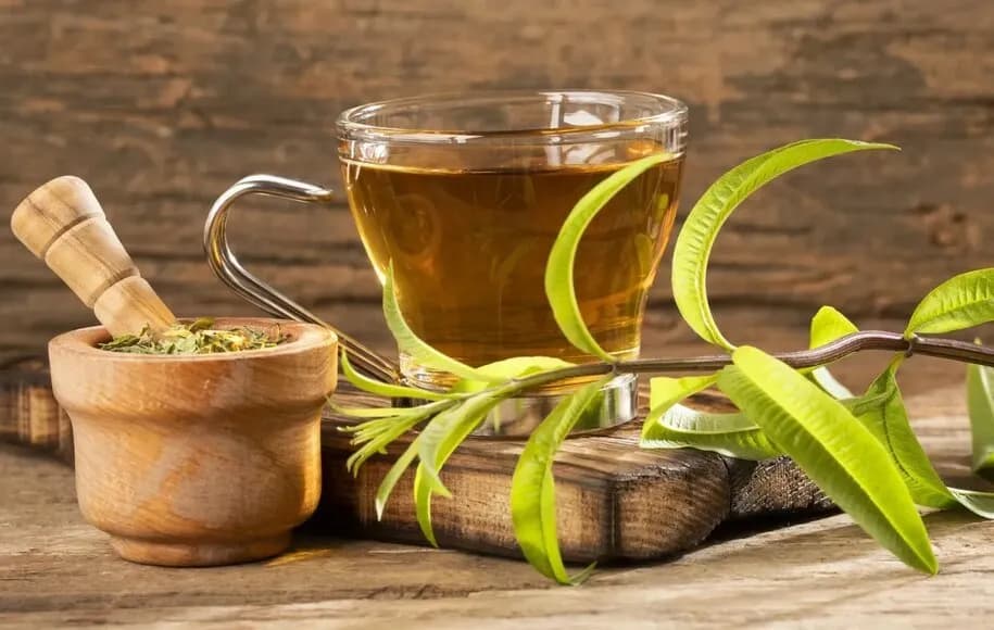دمنوش به‌لیمو در طب سنتی؛ نوشیدنی معطر برای آرامش و بهبود کیفیت خواب