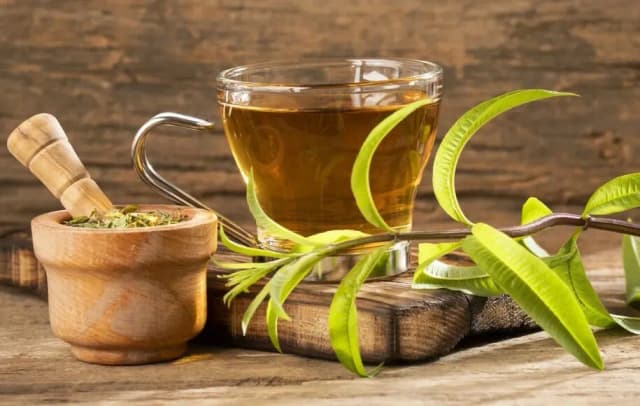 دمنوش به‌لیمو در طب سنتی؛ نوشیدنی معطر برای آرامش و بهبود کیفیت خواب