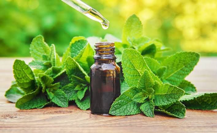 روغن نعناع فلفلی و سندرم روده تحریک‌پذیر؛ یافته‌های علمی چه می‌گویند؟