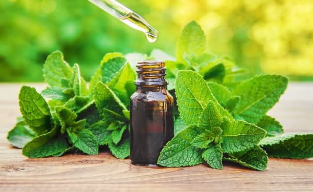 روغن نعناع فلفلی و سندرم روده تحریک‌پذیر؛ یافته‌های علمی چه می‌گویند؟