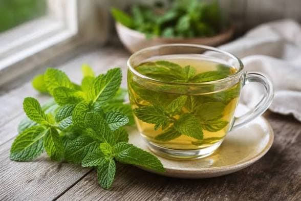 نعناع فلفلی در طب سنتی؛ گیاهی برای تسکین برخی ناراحتی‌های گوارشی