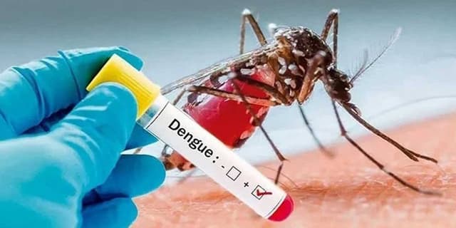 ابتلای هزاران نفر به تب دنگی  