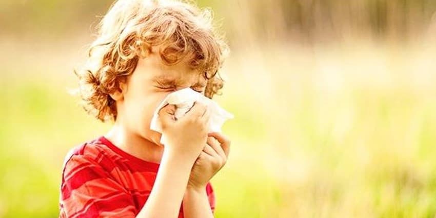 برخی از آلرژن‌های فصل پاییز