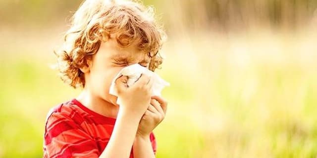 برخی از آلرژن‌های فصل پاییز